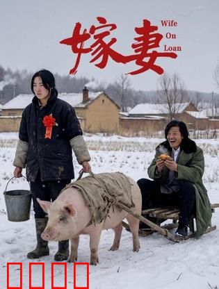 嫁妻：绝望主妇的复仇