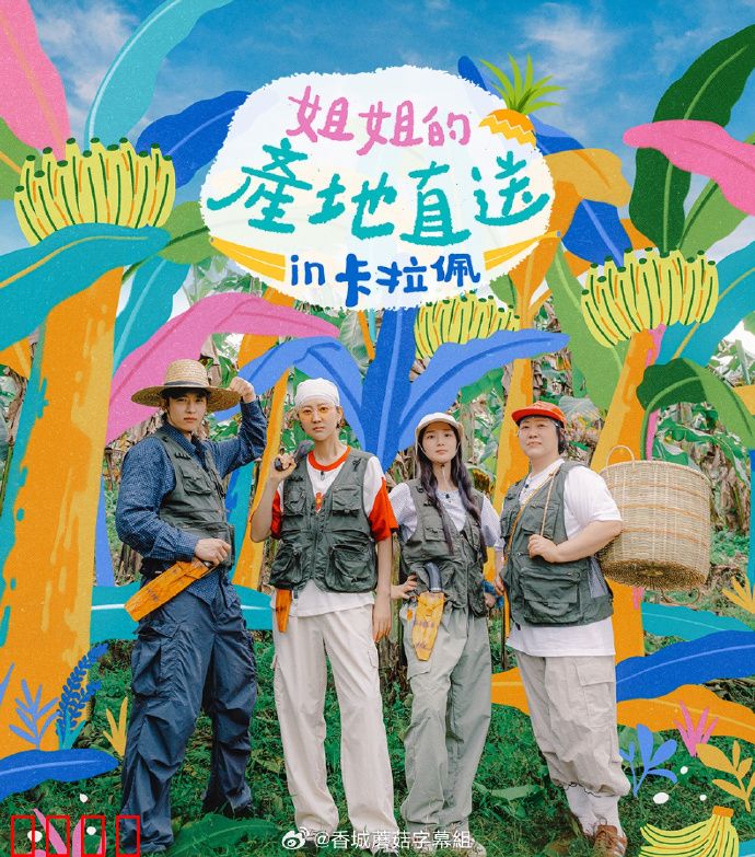 姐姐家的产地直送3：不期而遇的温暖