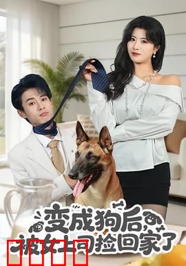 变成狗后，被女上司捡回家了：天降狗男友