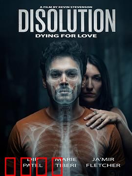 溶解：当记忆被吞噬