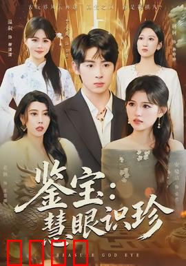 鉴宝：古玩迷局