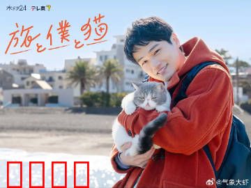 旅行和我和猫：心灵的陪伴
