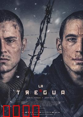 休战：寂静之约