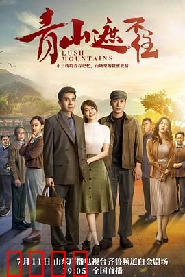 青山遮不住：坚守初心