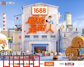 老板是新人：菜鸟总裁