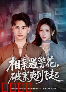 相亲遇警花，破案爽到飞起：警花搭档破奇案