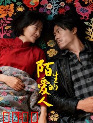 陌生的爱人：失忆重圆