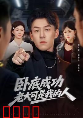 卧底成功老大可是我的人：完美潜伏