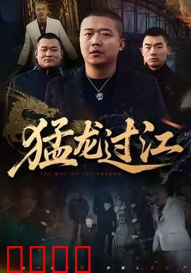 猛龙过江：武打巅峰