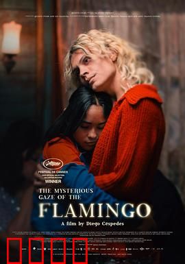 弗拉明戈的神秘眼神：舞者之魂