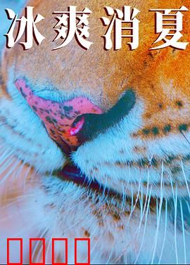 寒冰白血：生死冻原