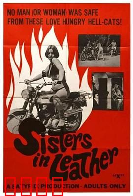 皮衣姐妹：禁忌之爱