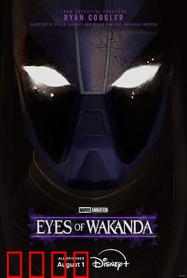 瓦坎达之眼：振金守卫者