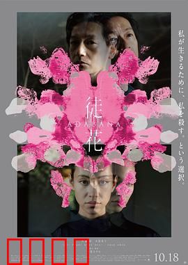 徒花：凋零前的绽放