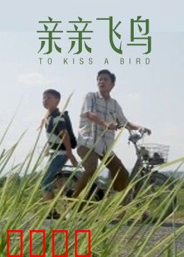 亲亲飞鸟：禁忌之恋的飞翔