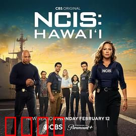 海军罪案调查处：真相浮出水面