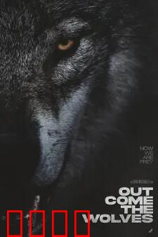 狼群出动：生死突围