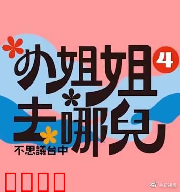 小姐姐去哪儿：穿越迷案笑泪交织