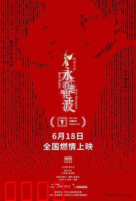 永不消逝的电波2024：绝密使命