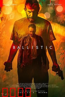 弹道：子弹的正义