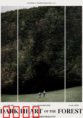 森林的黑暗心脏：迷雾中的真相