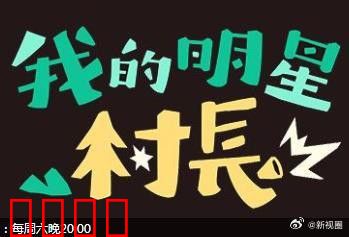 我的明星村长：爆笑乡村奇遇