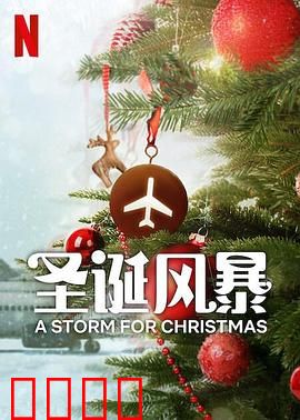 圣诞风暴：风雪中的奇迹