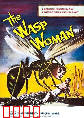 黄蜂女：量子归途