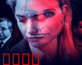 瞒骗：完美骗局