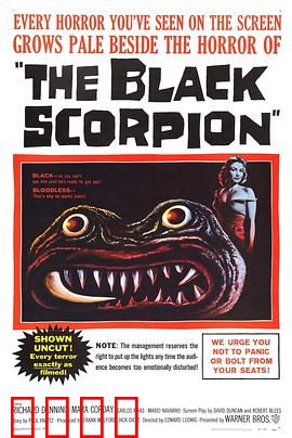 黑蝎：复仇之刺