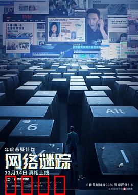 网络谜踪：数字疑云