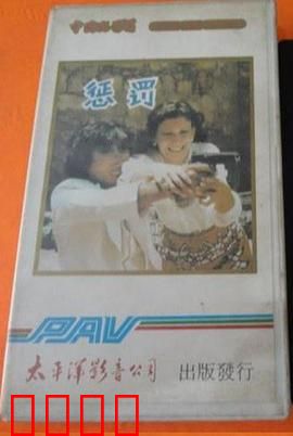 惩罚1980：沉默的复仇