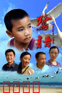 鹭语：人鸟奇缘