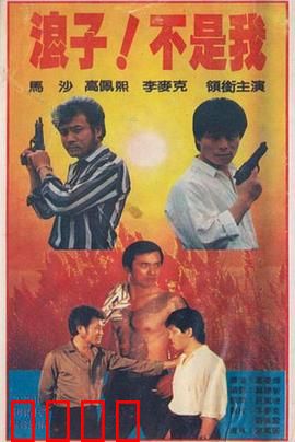 浪子！不是我：复仇始末