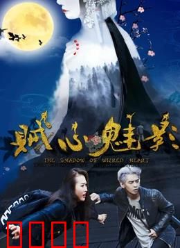 贼心魅影：暗夜窃心