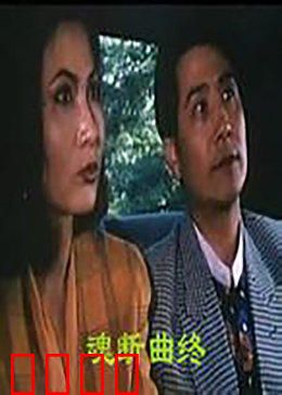 魂断曲终：爱恨交织的旋律