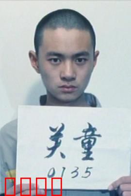 谁的孩子：血缘的谎言