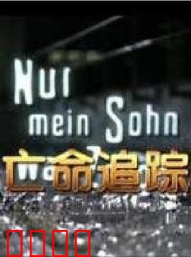 亡命追踪：杀手重生