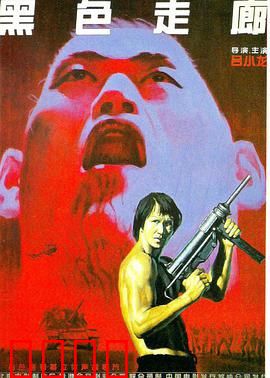 黑色走廊：军火贩子的宿命