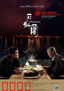 石斛兰：逆境绽放