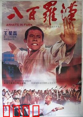 八百罗汉：血战金兵