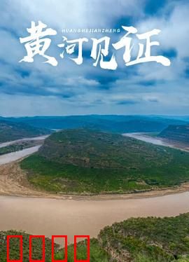 黄河见证：河岸上的抉择