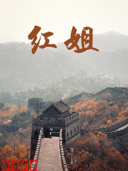 红姐2017：女警血战毒枭