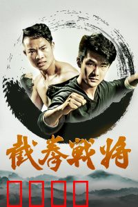 截拳战将：铁拳复仇路