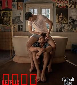 钴蓝爱恋：蓝色忧郁的禁忌之恋