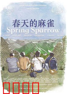 春天的麻雀：逆风飞翔
