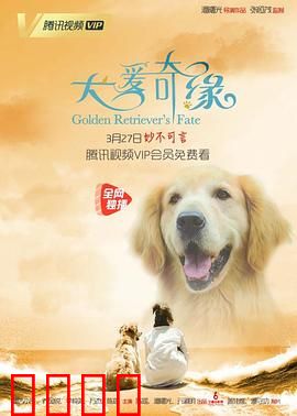 犬爱奇缘：忠犬牵线