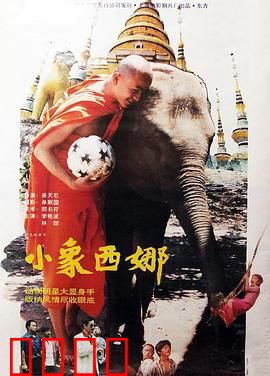 小象西娜：母爱无敌