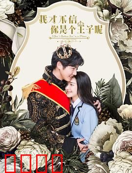 我才不信你是个王子呢：假王子真男友