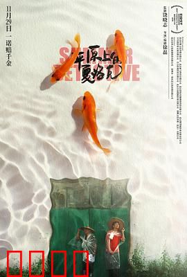 平原上的夏洛克：荒诞探案